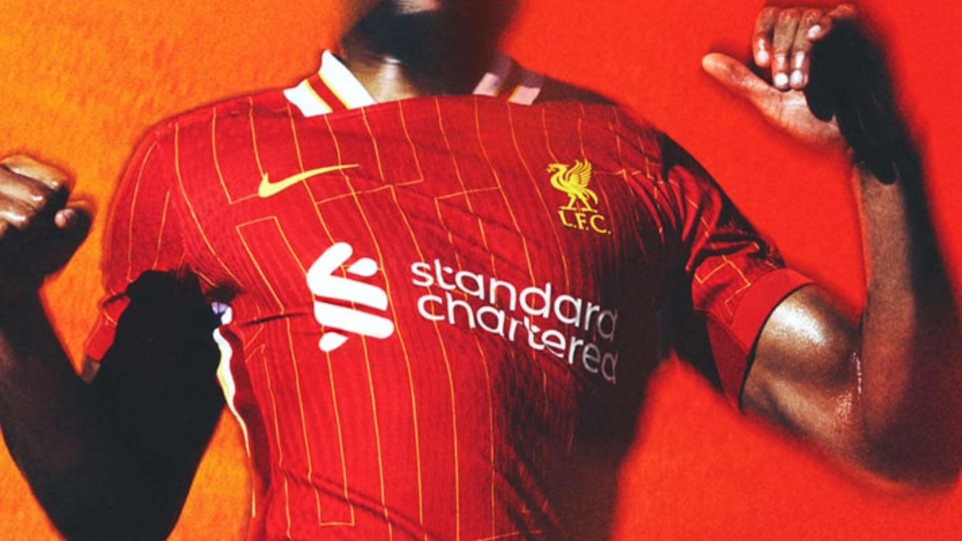 在这个充满 在这个充满