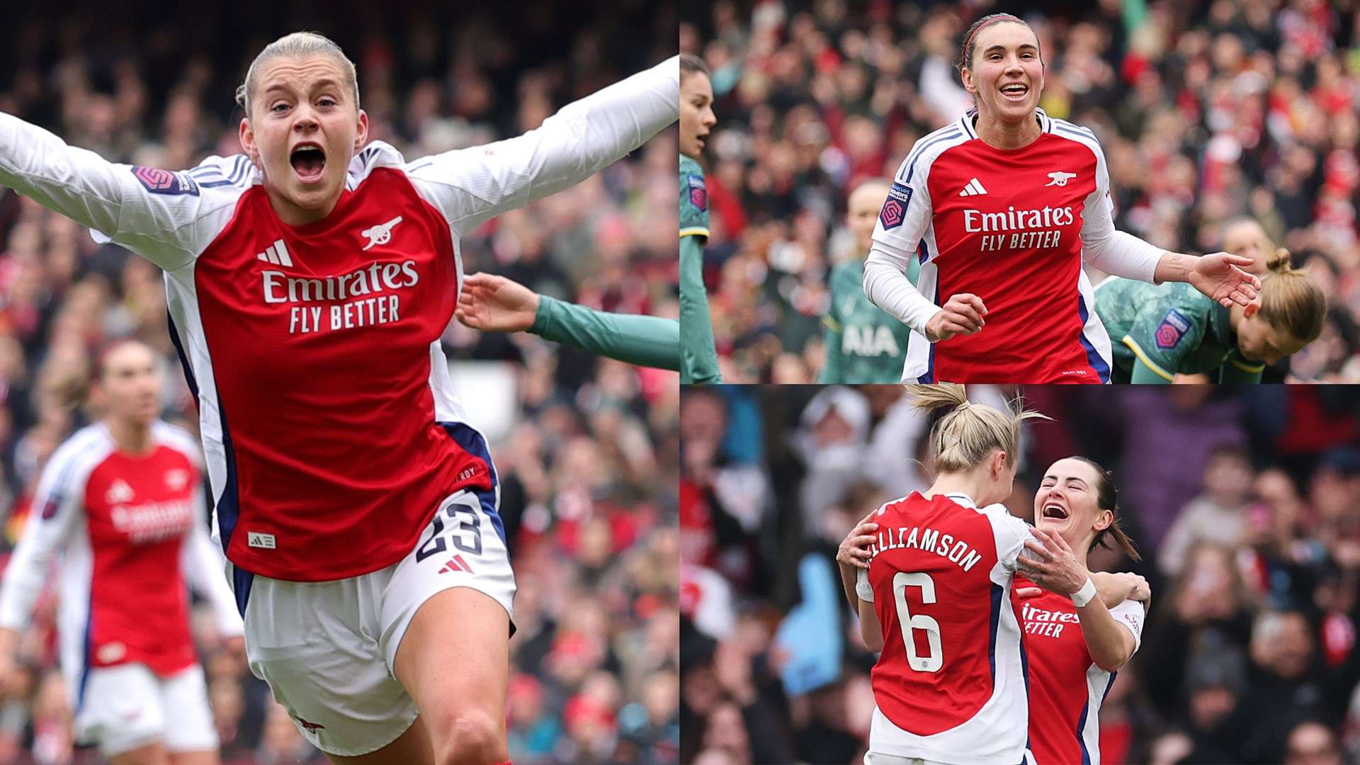 球迷的期待 球迷的期待