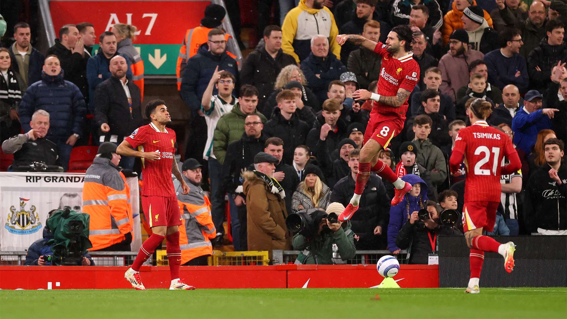 尔的指导下 尔的指导下